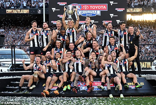 Sports organizations such as the AFL (pictured) could expose themselves to legal risks if they fail to tackle climate change properly