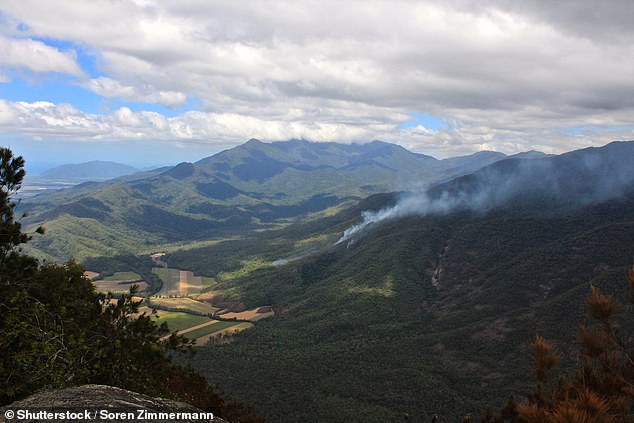 The man, in his twenties, was last heard on Tuesday at 6:30 p.m.  It is believed he was hiking Bartle Frere, Queensland's highest mountain at 1,622 meters (pictured)