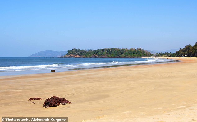 The 72-year-old British man died on Friday evening at Talpona beach (pictured) in Canacona, in the western state of Goa.