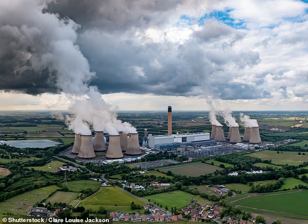 Up in smoke: Drax said it had sourced 8 million tonnes of wood from around the world and burned 6 million by 2023