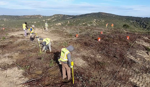 In 1993, an archival search was conducted to locate areas in Fort Ord where military munitions may have been used.