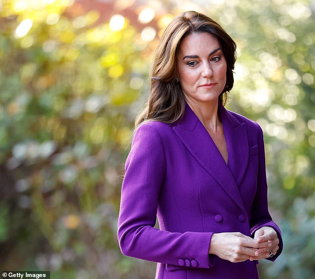 Paddy Harverson, the former official spokesperson for Kate and the Prince of Wales, said the online targeting of Kate (pictured) was the worst he had ever seen