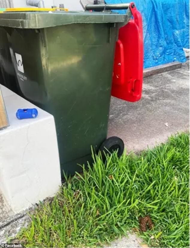 The fed-up local said the council should fine pet owners who don't clean up their dog's feces (pictured) and those who throw the remains in a bin belonging to another resident