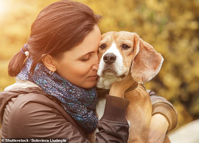 They are known for their loyalty, camaraderie and ability to make us laugh.  And it turns out that spending quality time with man's best friend also reduces stress and anxiety, a study shows (stock image)