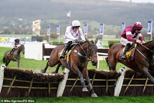 Golden Ace took a stunning victory in the penultimate race on day three at Cheltenham