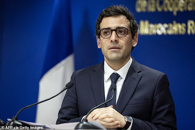 French Foreign Minister Stéphane Séjourné (pictured) has warned that Europe will be flooded by '10 million migrants' if Vladimir Putin wins his war in Ukraine