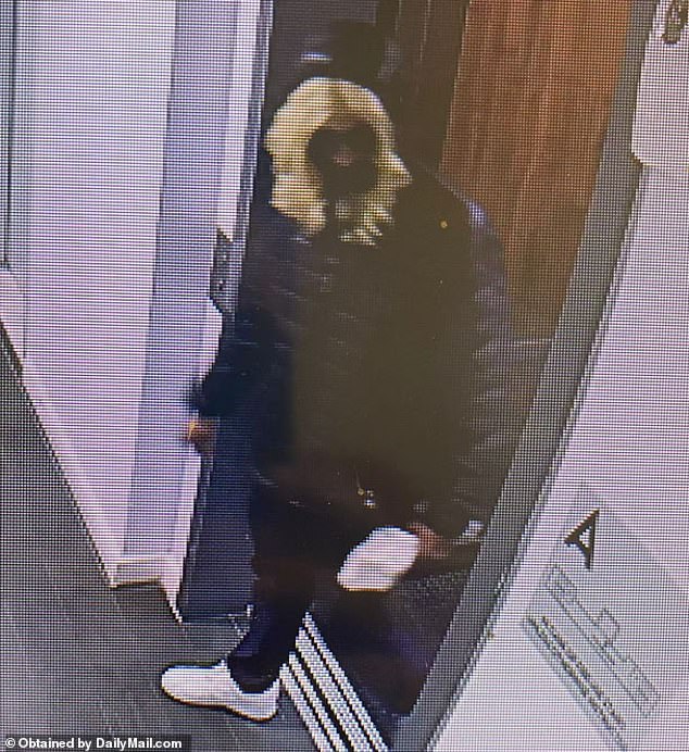 On the night of the alleged murder, the suspect was seen at the apartment complex wearing a blonde wig, possibly as a disguise