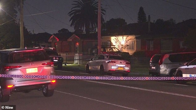 Four men were brutally attacked on Carpenter Street (pictured) in Colyton, western Sydney