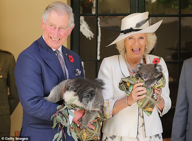 Prince Charles holds a koala named Kao, while Camilla holds a bear named Matilda at Government House in Adelaide in 2012