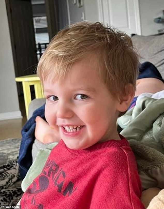 Mark Alan Pertain, 2, was fatally mauled by his neighbor's dogs in a horror attack in New Hope, Alabama, on Friday