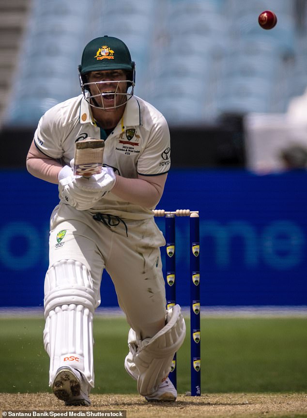 A local council in Sydney plans to pay tribute to the Test career of retired Australian opening batsman David Warner - and the move has left cricket fans divided