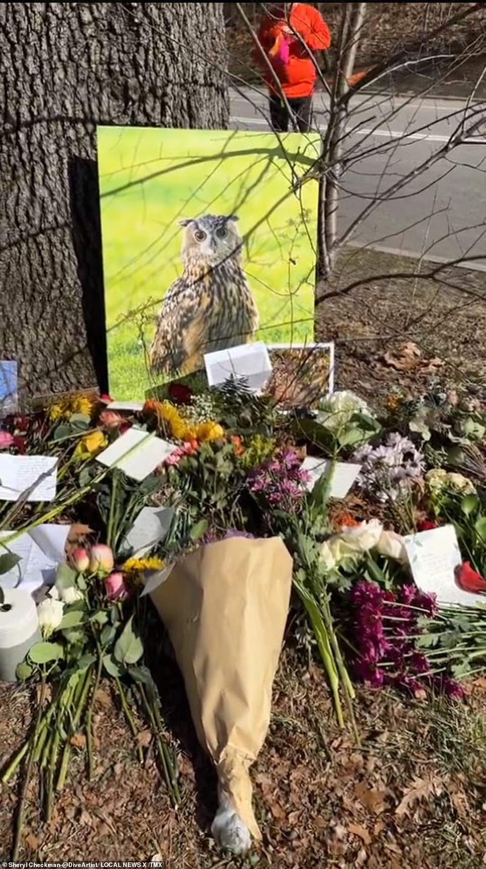 Hundreds gathered in Central Park on Sunday to celebrate Flaco the Owl, New York City's favorite feathered friend, who tragically died after colliding with an Upper West Side building earlier this month