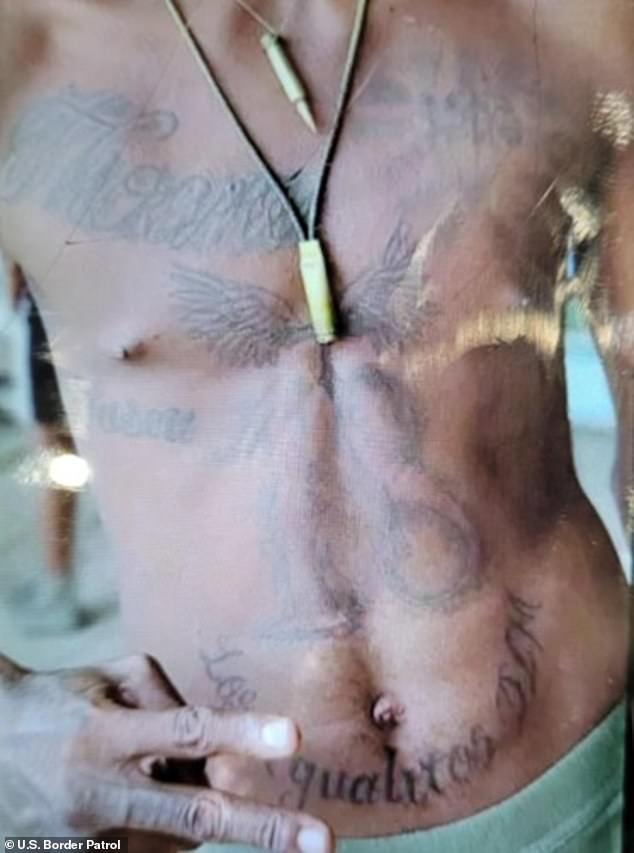 USBP chief Jason Owens said the man also had specific tattoos indicative of gang membership (Clan del Golfo)'