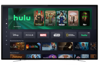 Disney Plus App with Hulu