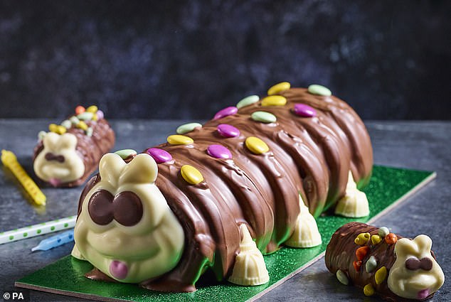 According to Alana, the strangest thing about British culture is the prevalence of caterpillar cakes
