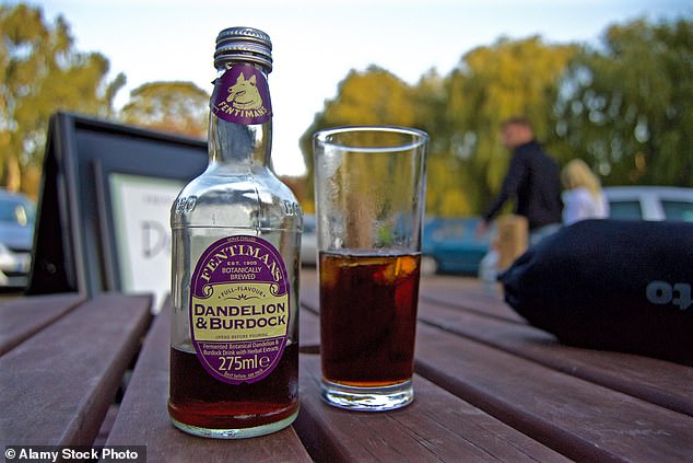 Dandelion and burdock have been commonly consumed in the British Isles since medieval times and have a fizzy, spicy flavor with a hint of anise.