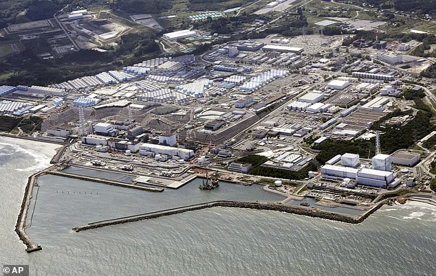 The Fukushima disaster was one of the most devastating nuclear accidents in the world