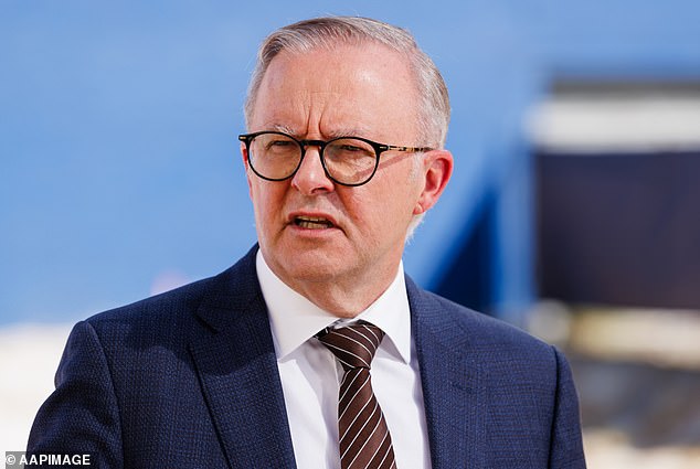 The game was touted to receive government support (photo, Anthony Albanese)