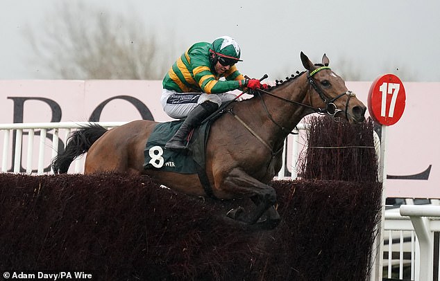 Limerick Lace, ridden by Keith Donoghue, took victory in the Mrs Paddy Power Mares' Chase