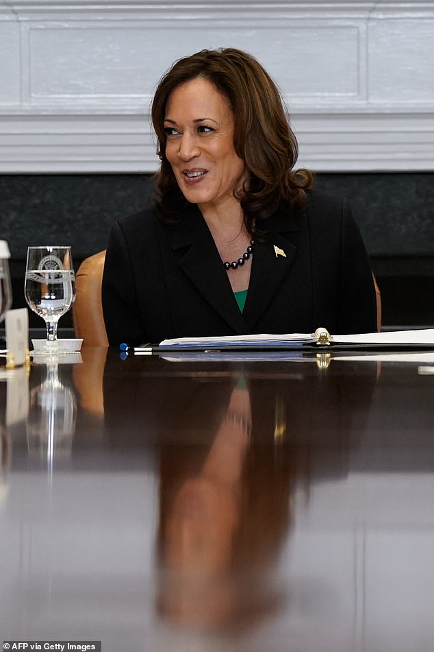 US Vice President Kamala Harris speaks during a roundtable discussion on marijuana reform at the White House