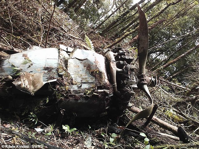 A US Marine plane that crashed during World War II has been discovered in the South Pacific, 80 years after it went missing