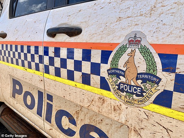 The decomposing remains of a missing man have been discovered by the side of a road in the Outback (file photo)