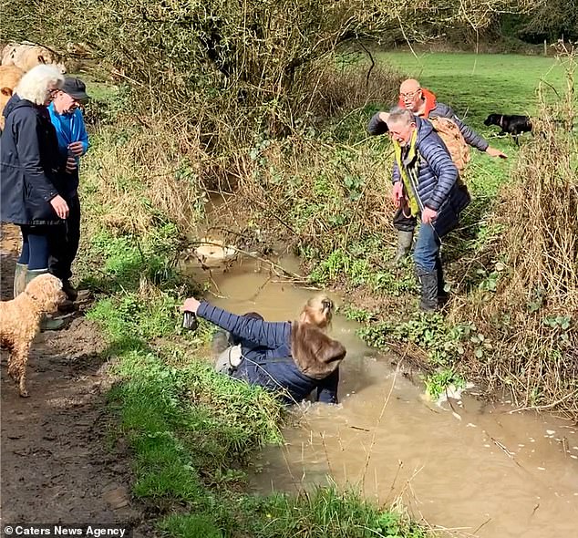 Amanda Smith fell backwards into the murky waters of a fast-flowing stream after trying to clamber over it in an attempt to avoid some cows blocking the path