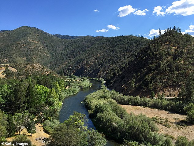 The Klamath River (photo) lies above the Iron Gate Dam tunnel near the California-Oregon border.  A dam along the 250-mile-long river was removed in November in an effort to boost the salmon population