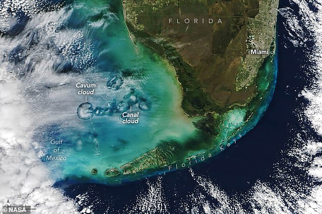 Above, a NASA Earth Observatory representative identified key parts of their stunning January 30, 2024 satellite image of the Cavum Cloud and the subsequent 'Canal Cloud'.