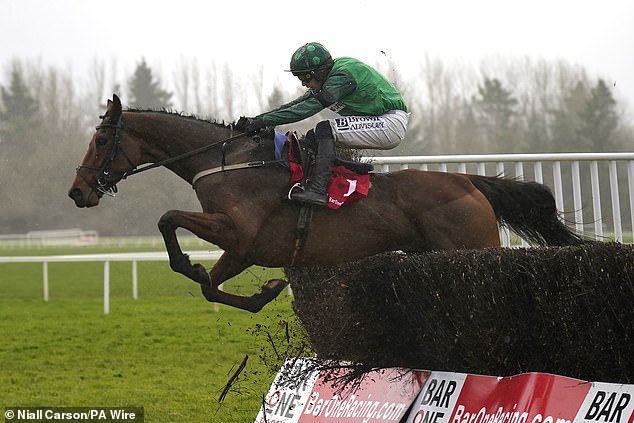 El Fabiolo (above) takes on Jonbon and Edwardstone in the Queen Mother Champion Chase