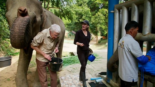 A teaser clip for the series shows Paul getting punched by an elephant named Lotus as he turned around to apologize to her for not paying her enough attention.