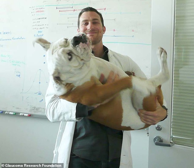 Mr. Huberman with his bullmastiff, Costello, who weighed 90 pounds