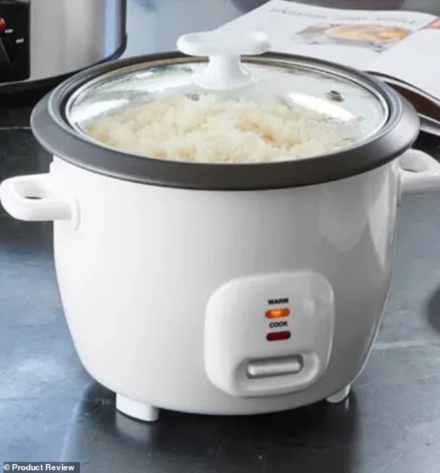 Nick Morgan bought the Anko 7-Cup rice cooker for $14 at Kmart's Chermside store in Brisbane, but found it smoldering in his kitchen