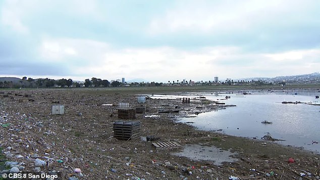 Residents of Imperial Beach, a small town 20 minutes' drive from San Diego, California, say they are 'stuck in a portable toilet' after 700 consecutive days of beach closures