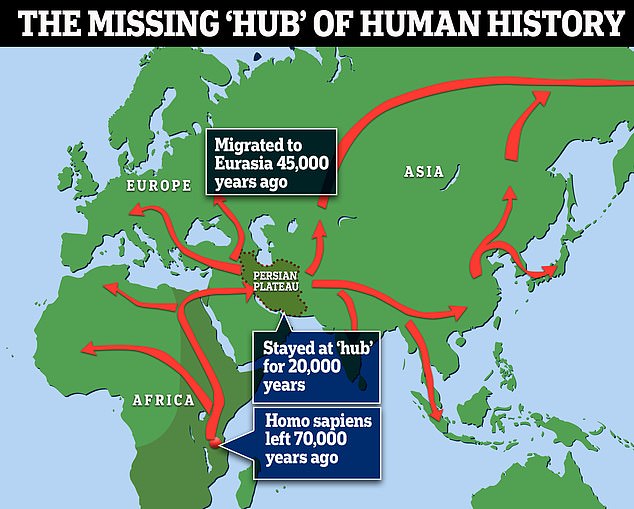 A team of international studies determined that about a thousand of these travelers lived in an area spanning the Middle East known as the Persian Plateau.