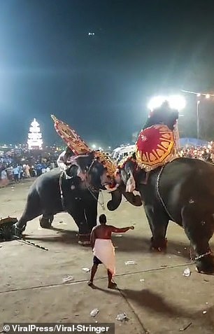 This is the shocking moment two elephants forced to fight turned on crowds and injured dozens of worshipers during a religious festival in India