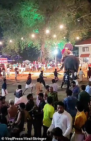 The two elephants fight each other at the festival