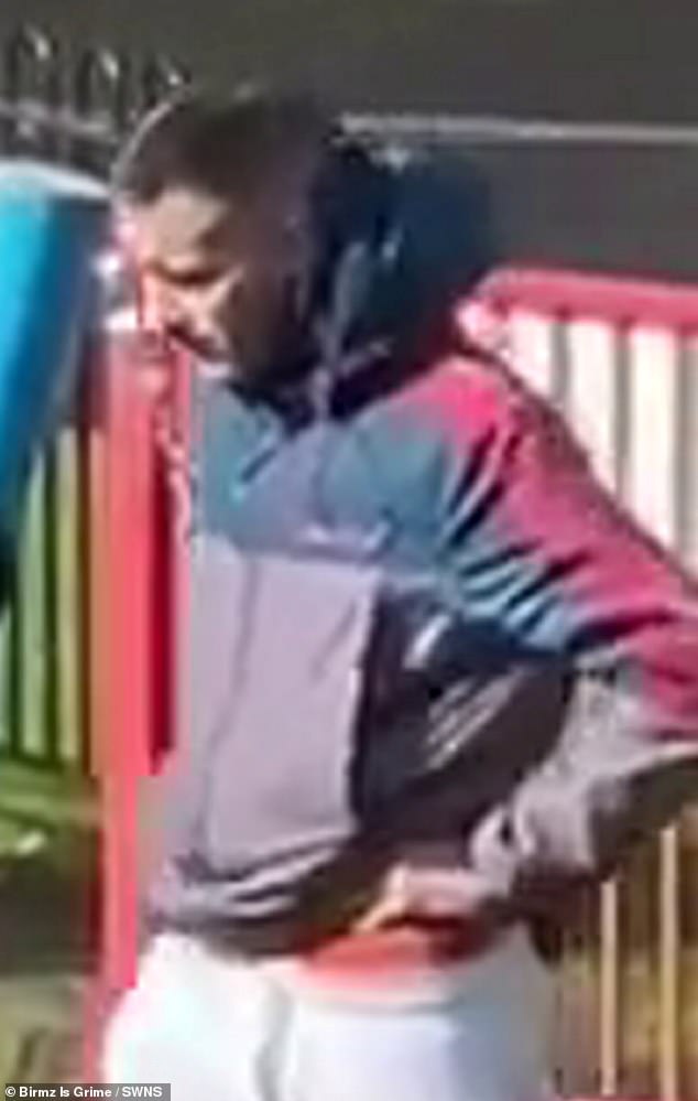 A man was filmed punching a dog in the face at a children's playground in Birmingham