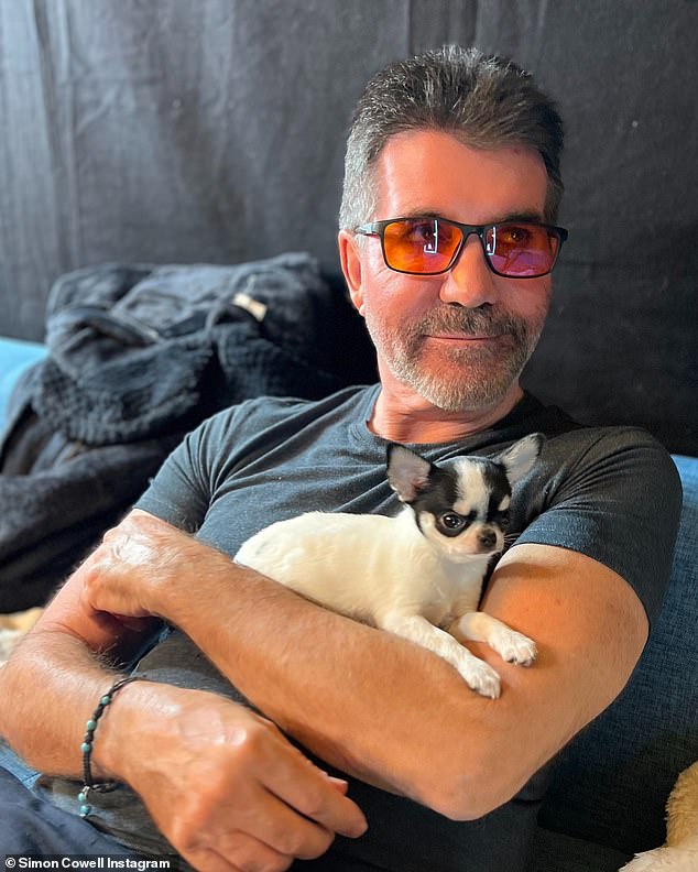 Simon Cowell has added a new member to his ever-growing four-legged family