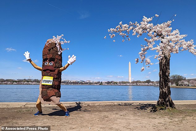 Stumpy became a social media star during the pandemic fever dream of 2020. His legacy has spawned an official mascot, T-shirts, a calendar and a fan base