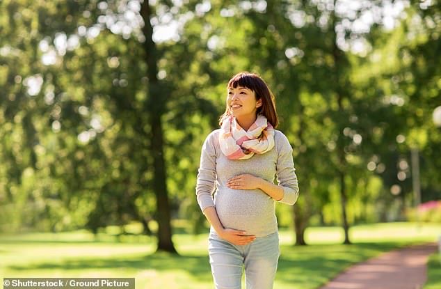 The pension will be included in paid parental leave payments as the government unveils a national strategy to achieve gender equality.  A pregnant woman is depicted