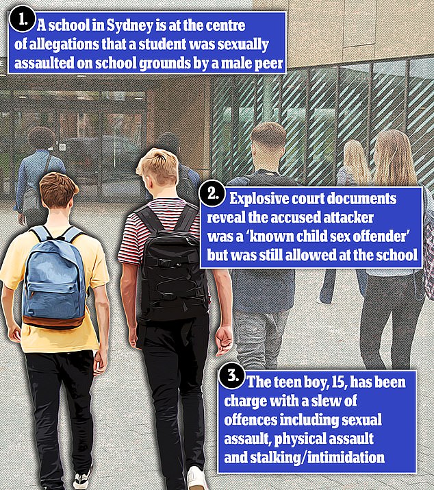 A teenage boy, 15, with a history of child abuse, has been accused of sexually assaulting a classmate on campus