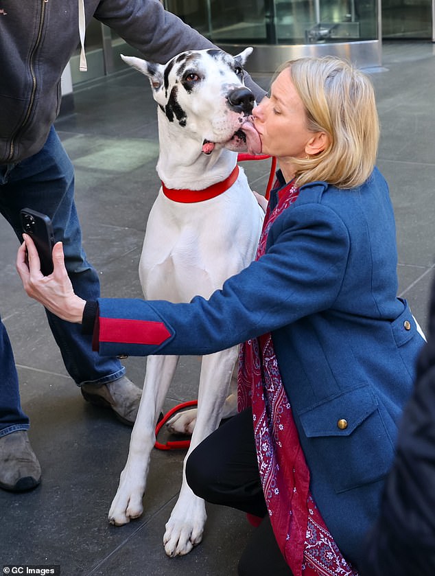 Naomi Watts got a very sloppy kiss from her giant Great Dane co-star on the set of her movie The Friend in New York City on Tuesday