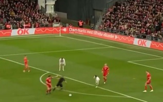 Pierre-Emile Hojbjerg pushed over the referee during the draw between Denmark and Switzerland