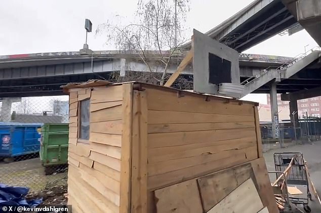 The one-room cabins are nailed together using scraped wood from pallets and abandoned rubbish, complete with windows and doors