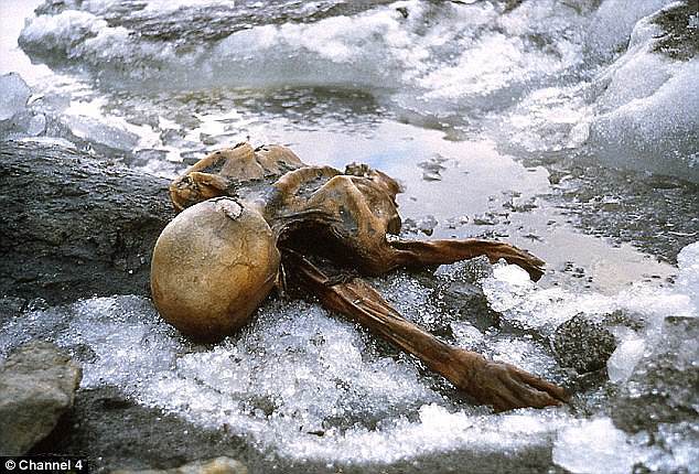 The mummified, 5,300-year-old corpse was found by hikers in 1991, melting from the ice in the Alps, some 3,210 meters above sea level
