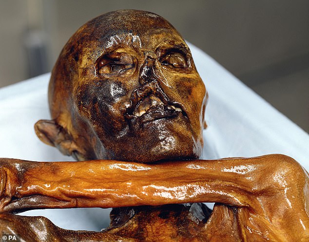 Ötzi the Iceman is the natural mummy of a man who lived between 3350 and 3105 BC.  Ötzi's remains were discovered in the Ötztal Alps on September 19, 1991