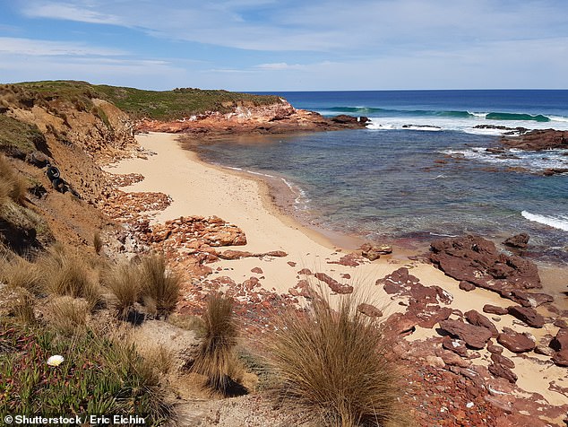 The family were on a road trip through Phillip Island when they decided at the last minute to visit the unguarded Forrest Caves Beach (pictured)