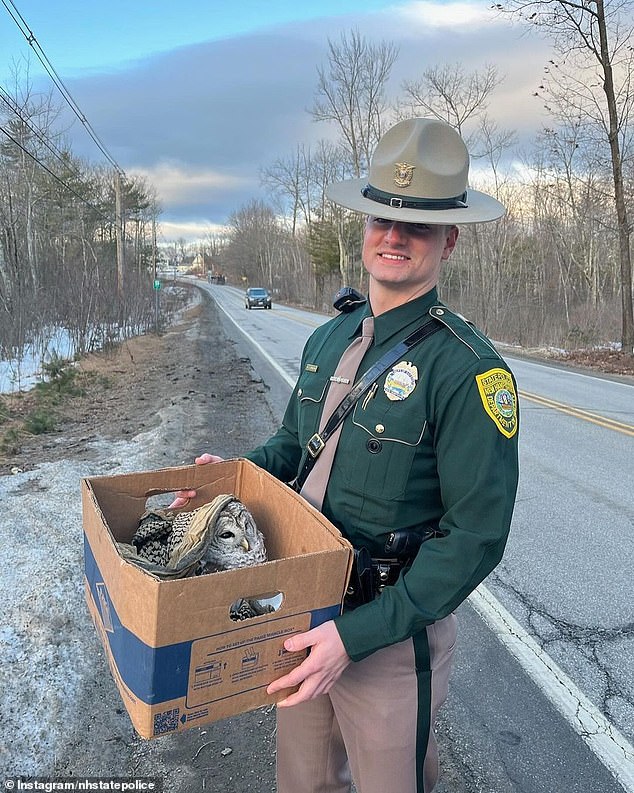 New Hampshire law enforcement officers wear shirts in fresh, stately forest green, paired with tan pants