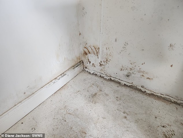 The video, which has been viewed more than 55,000 times, saw them first start by completely demolishing the kitchen and dining room wall of the property.